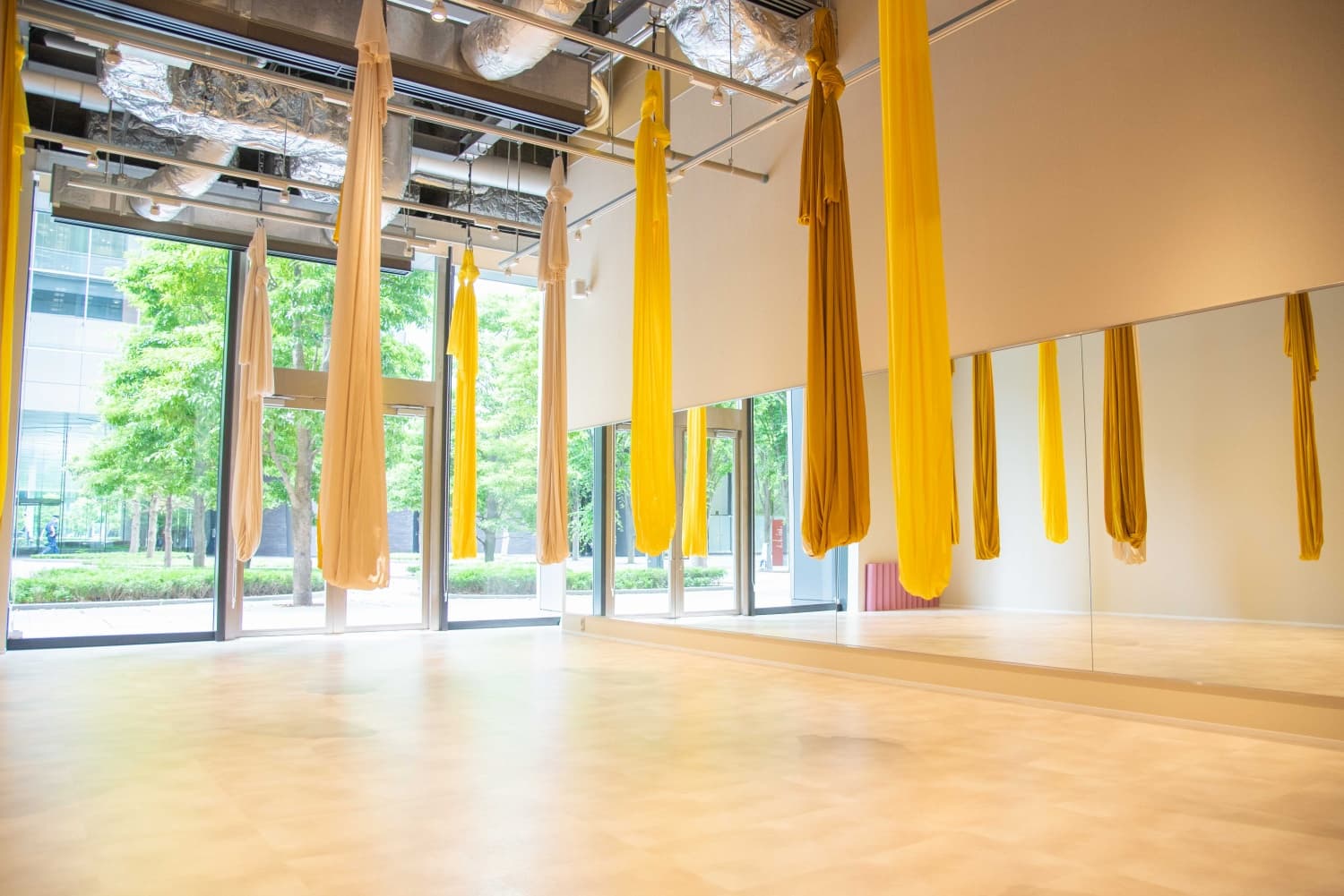 リリース＆エアヨガ（75分） 画像1