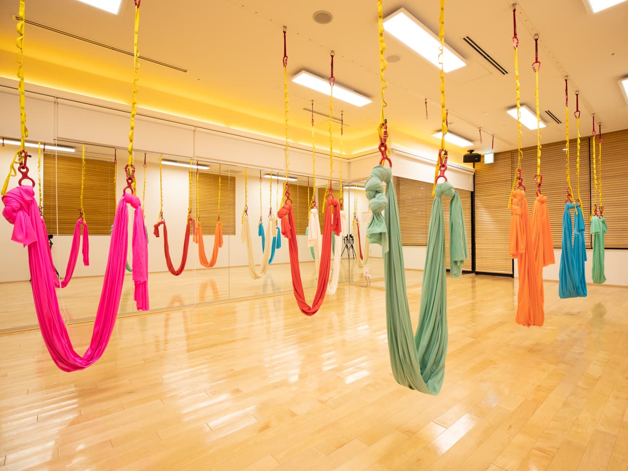 【キャンペーン価格】空中ヨガ＆ほぐしメンテナンス 画像1
