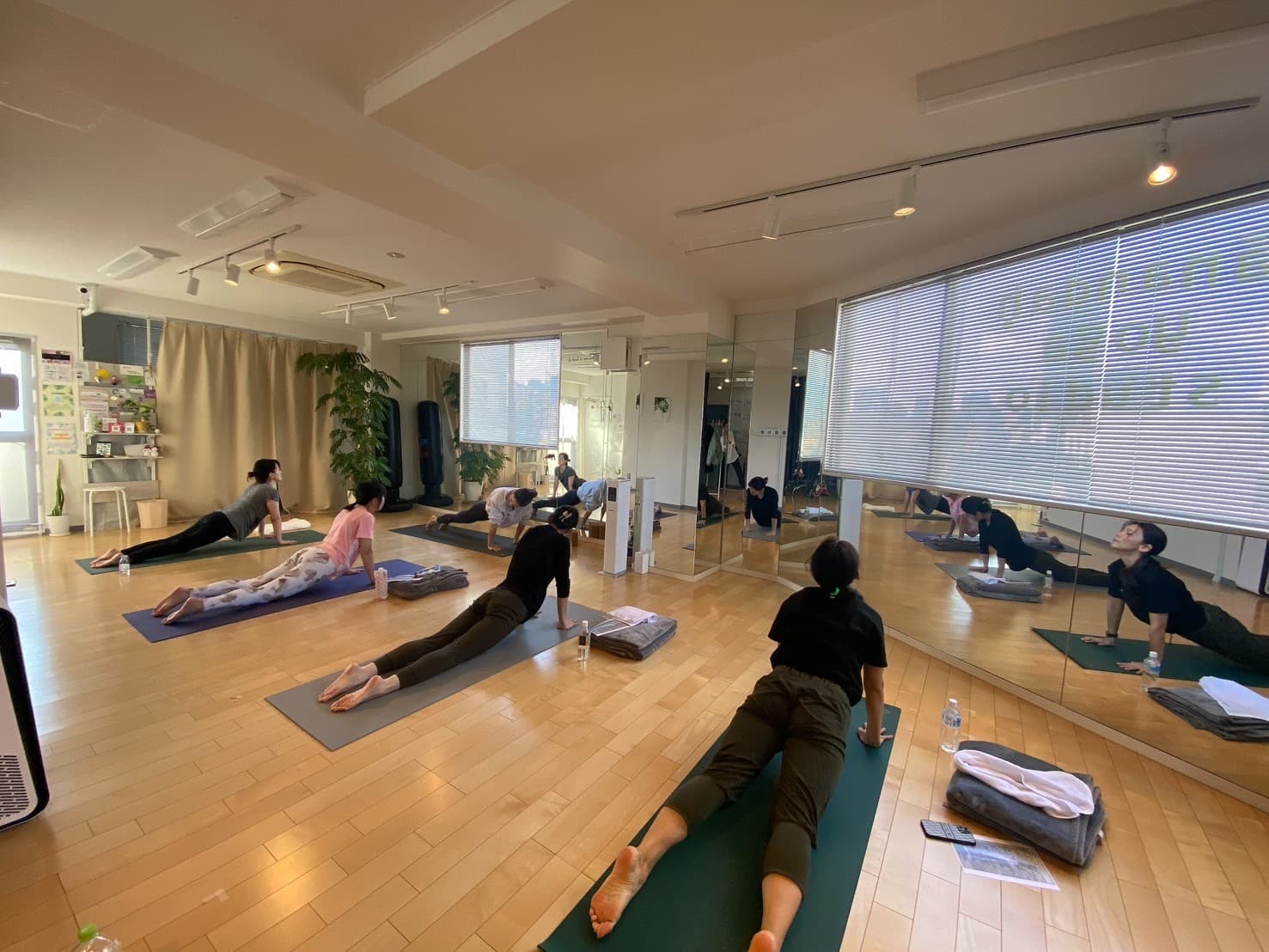 腸活デトックスヨガ 画像1