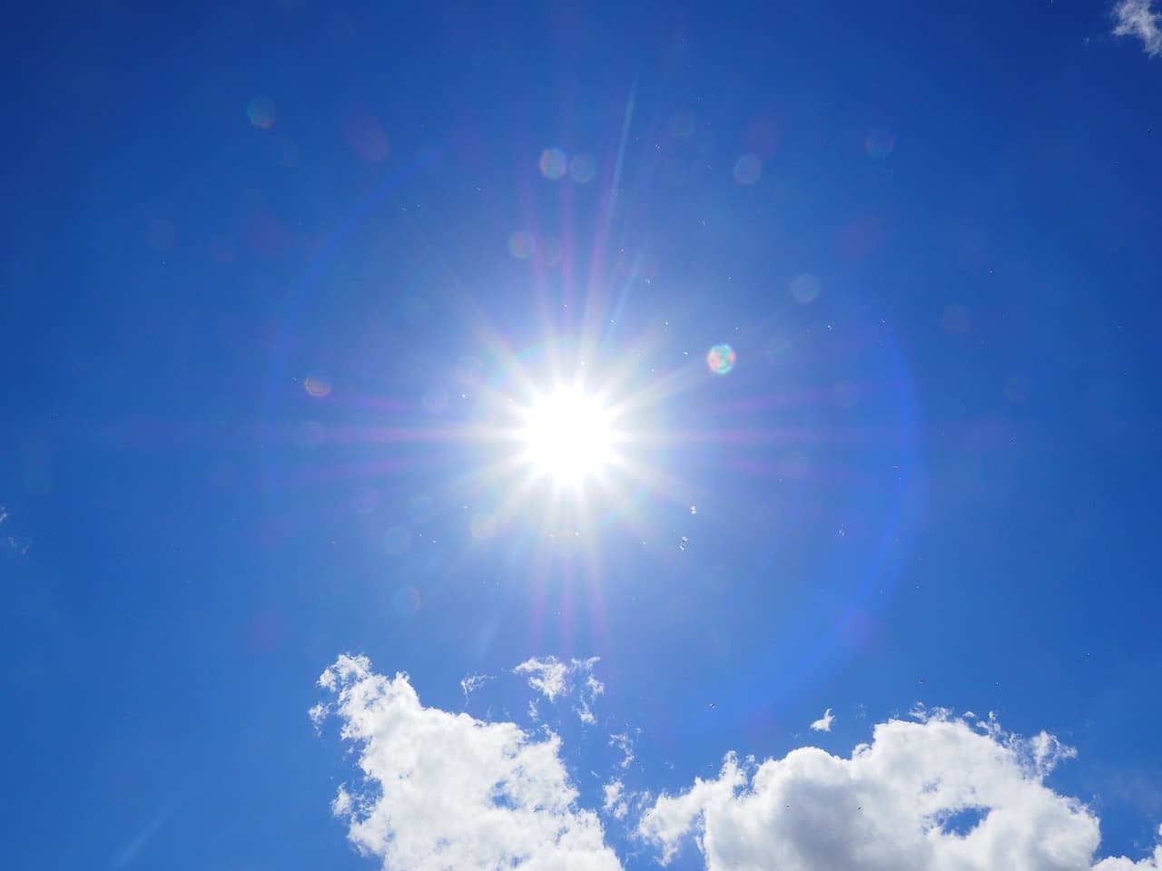 太陽礼拝ベーシック 画像1