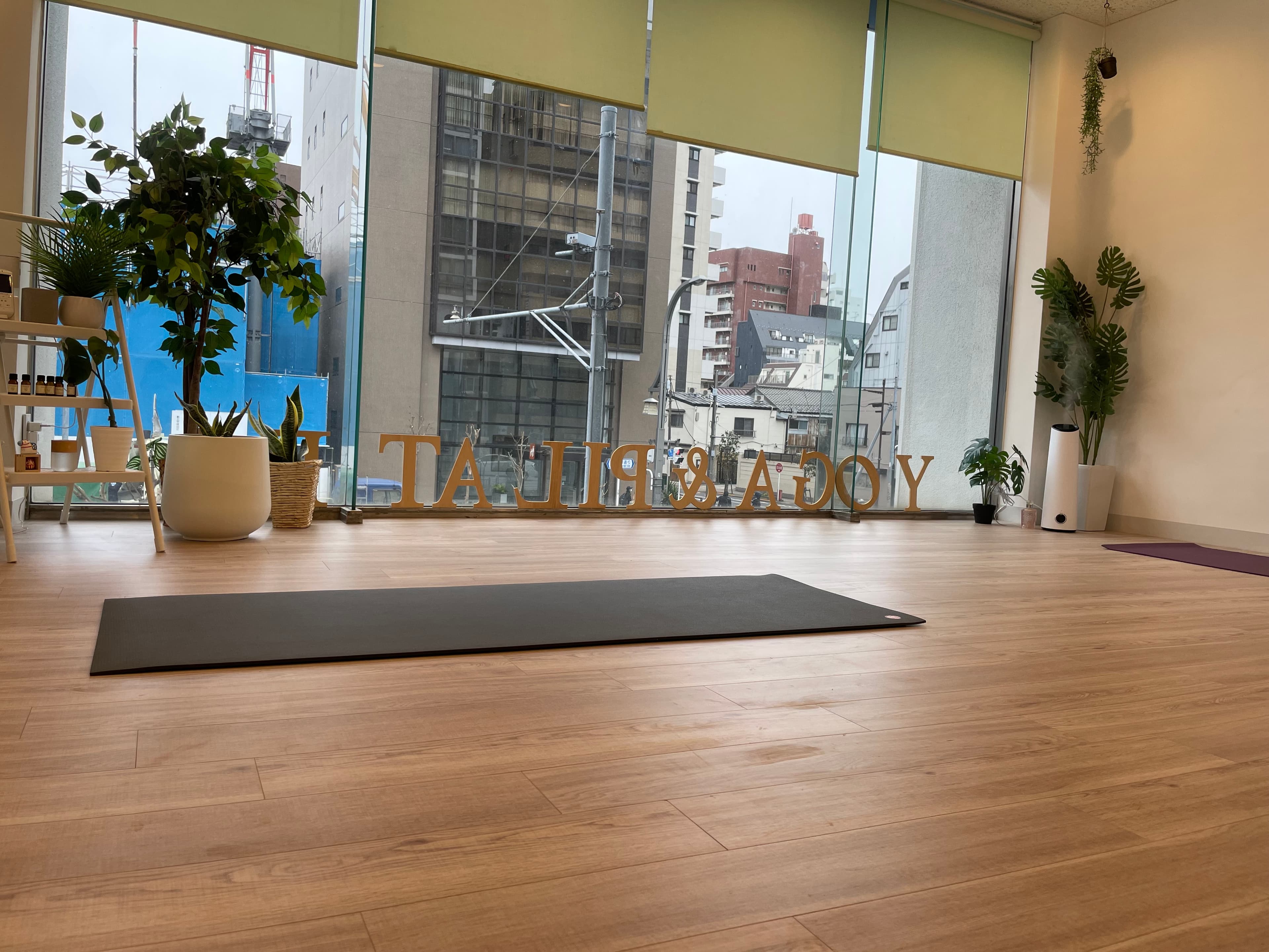 理学療法士が教える柔軟性ヨガ 画像1